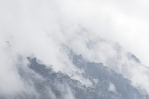 Montagne dans la brume, Ella, Sri Lanka, avril 2018