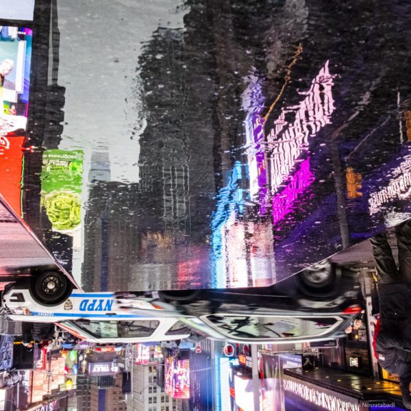 “NYDP” NYC